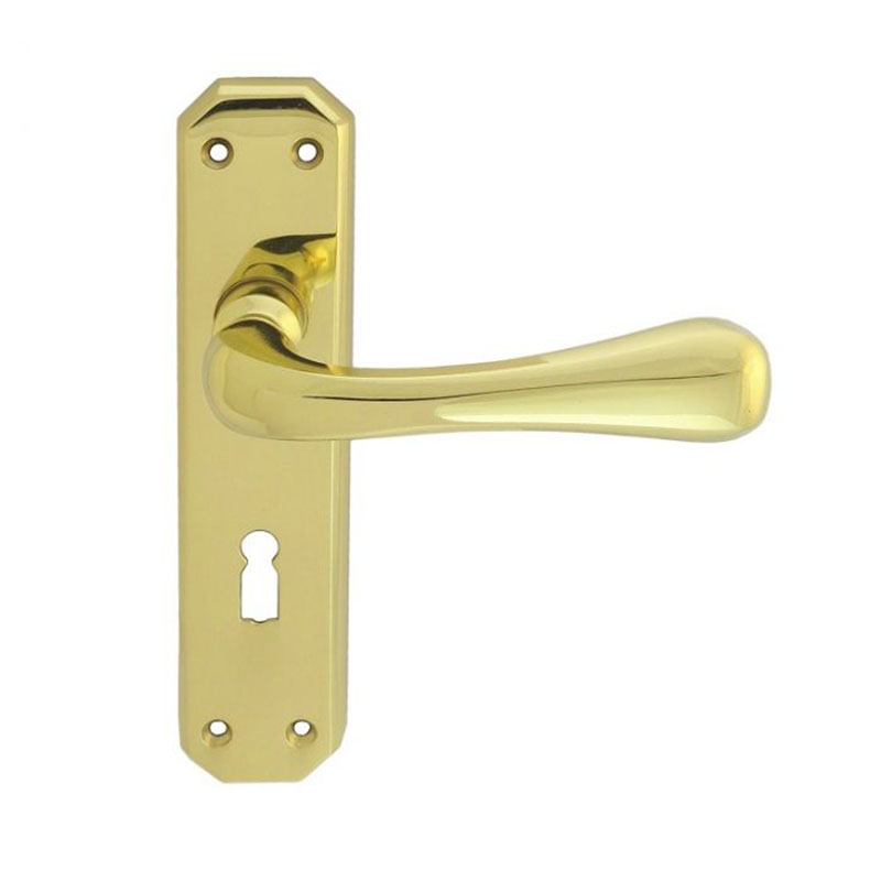 Eden Lever Lock on Backplate Polished Brass