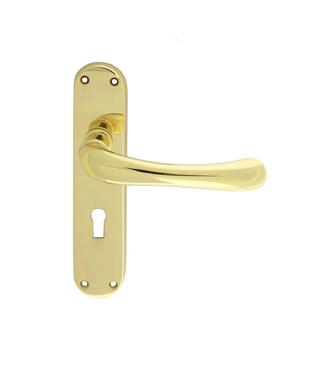 Lever On Backplate Locks Doors and Windows